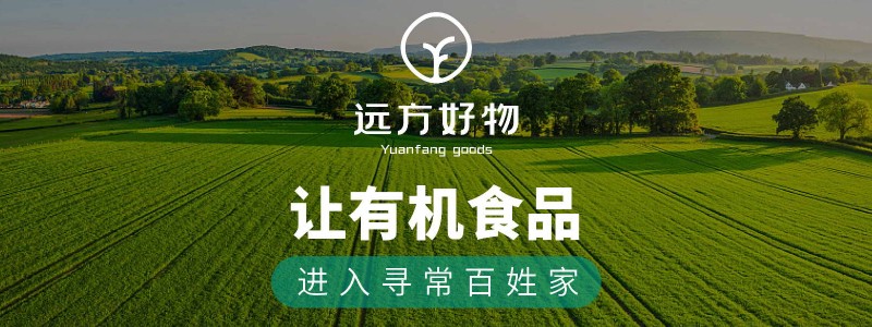 远方故事